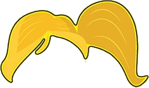 Ponytail of Mrs. Potato Head